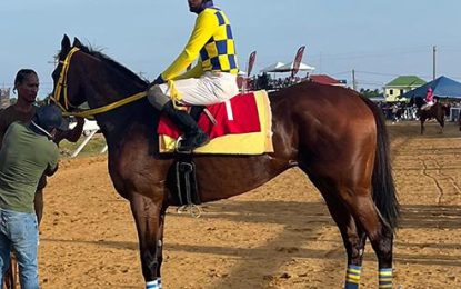 Stormy Victory, Morning Colors stepping up for Simply Royal stables