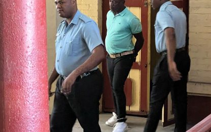 Father of 14 in court for assaulting ‘sweet woman’