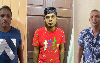 Trio confessed to murder of Belle West woman, remanded
