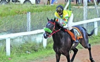 Top notch entries for feature event as more sponsors hop on board Kennard Memorial Phagwah Horserace meet on Sunday