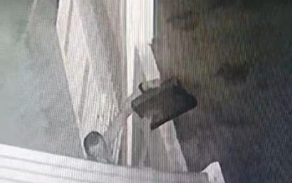 Bandit in underwear steals scale from Hope, ECD family