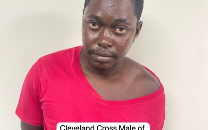 “Me and me ‘dawgs’ them went on that robbery last night by the Chiney”