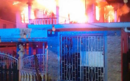 Fire destroys Chinese restaurant in Vreed-en-Hoop
