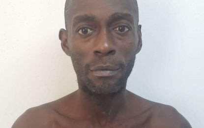 Man who broke into Housing Annex, remanded on several charges