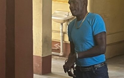 Corentyne man remanded for possession of gun and ammunition