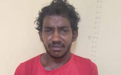 Construction worker remanded for larceny
