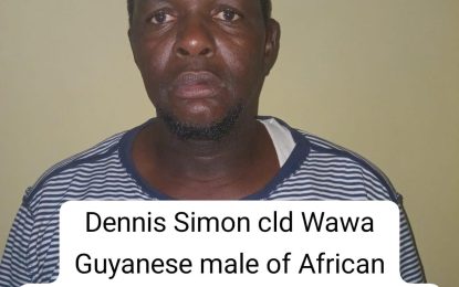 Taxi driver on $50k bail for stealing cow