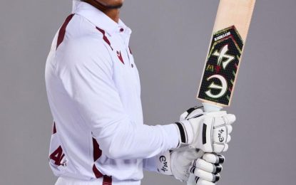 Imlach, Anderson, Savory continues to dominate batting charts following the end of Rd 5