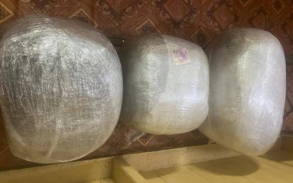 Trio arrested after big ganja bust on Linden Highway
