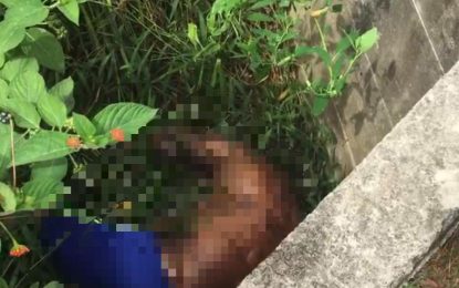 Man found dead in trench at Plaisance