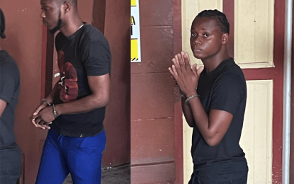 Brothers charged for beating cops