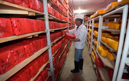 FAO report highlights crucial role of youth in transforming agrifood systems in Latin America and the Caribbean