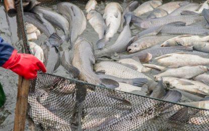 Agri. Sector gets $113.2B