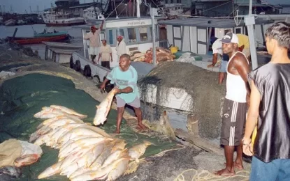 Major project to revitalise fishing cooperatives to be launched today