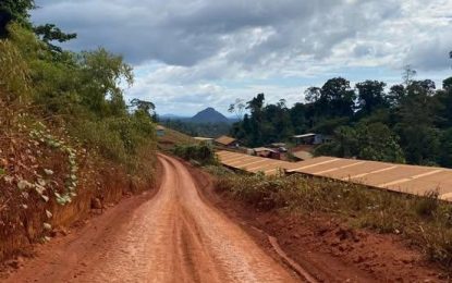 Biker dies after falling off bike on Marudi trail
