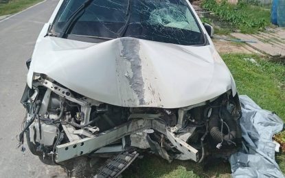CCTV footage helps capture driver who crashed into GPL Pole