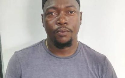 Truck driver arrested for dumping waste in Greenfield Housing Area