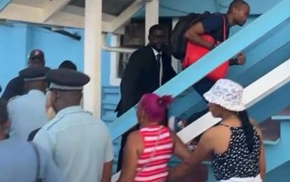 Pathologists never ruled out ‘forced drowning’ – Adriana Younge’s family