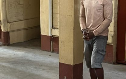 Sophia man remanded for attempted murder