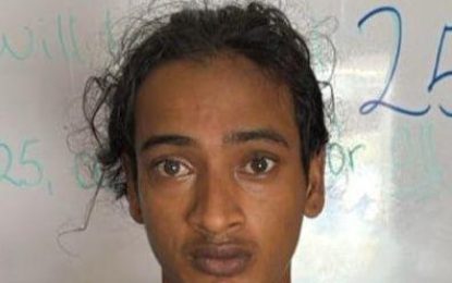 Labourer sentenced to two years for wounding charge 