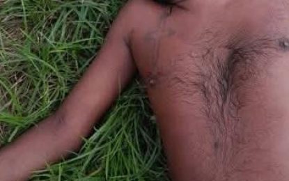 Man drowns at Crabwood Creek