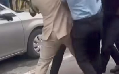Video captures cop, civilian in daylight brawl