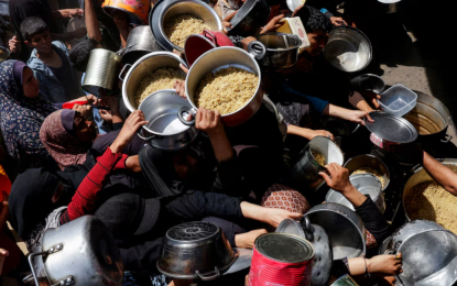 Palestinians resort to eating turtles as food runs out in Gaza