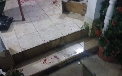 Several shot by police during unrest