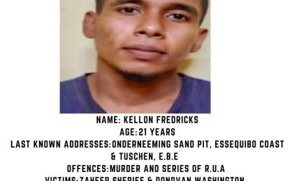 Police reissue bulletin for twins wanted for murder, other crimes