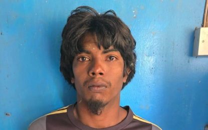 Businessman granted $100,000 bail on illegal ammo possession charge