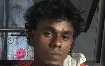 Construction worker accused of grievous bodily harm gets $250k bail