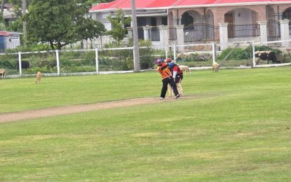 Affiance surge to 51-run win in NECC/Samaroo Investment T20
