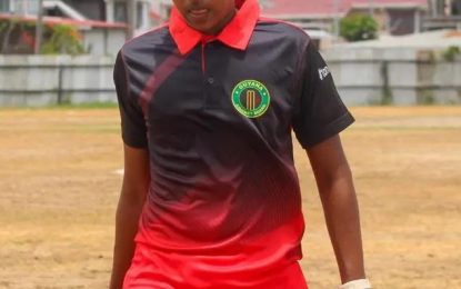 Ramdehol half-century, bowlers hand Select XI 32-run defeat 