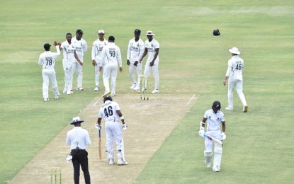 Harpy Eagles looking to put old rivals to bed, with path to title retention clear 