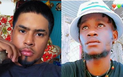 RSS to probe police killings in Linden