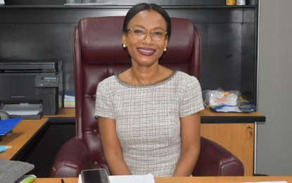 US-based Guyanese designer accuses govt. of stealing fashion concept