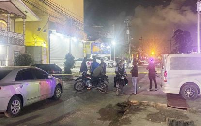 Two bandits shot dead during attack on Chinese supermarket on Hadfield Street