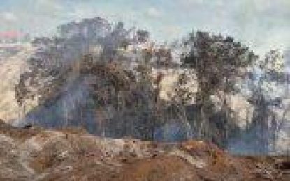 Fire contained at Linden sawmill– GFS