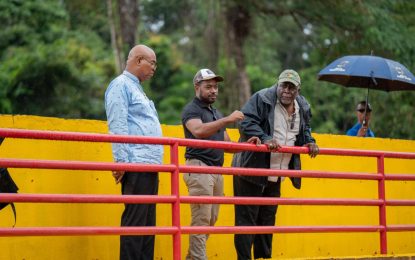 45 reconstructed hinterland bridges commissioned