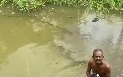Man 59, chopped, thrown in trench during row with neighbour