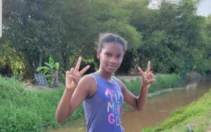 Girl, 11, abducted at Tuschen hotel