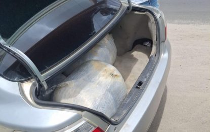 Cop busted with over 70lbs of ganja