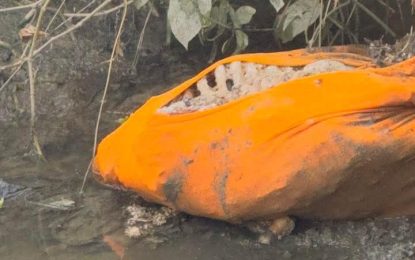 Skeletal remains of missing man found in Zeelugt trench