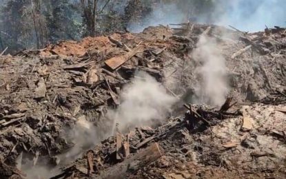 Elderly residents of South Amelia’s Ward developing respiratory complications due to smoke from aftermath of saw mill blaze- Mayor