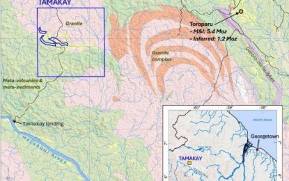 Canadian company expands footprint in Guyana with promising results at Tamakay, Abuya gold projects