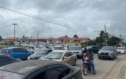 Outrage over ECD traffic jam