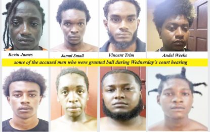 16 men charged with terrorism granted bail