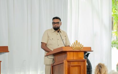 AI and digitilisation a ‘game-changer’ for local media – Pres. Ali