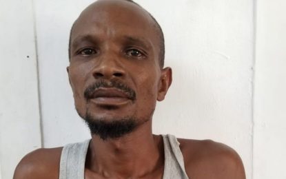 Man charged with murder in brawl that left two dead