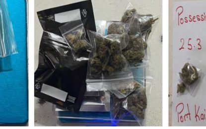 Port Kaituma shop owner arrested for ganja possession
